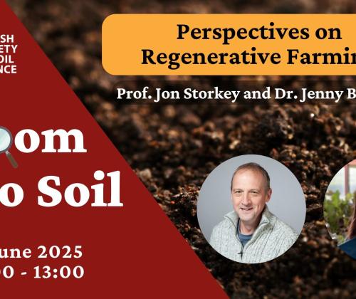 zoom into soil