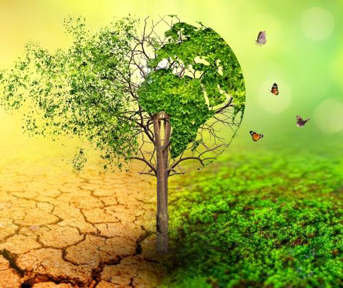 Graphic of collapsing ecosystem